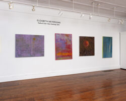 Installation, Oxbow Gallery - 2025